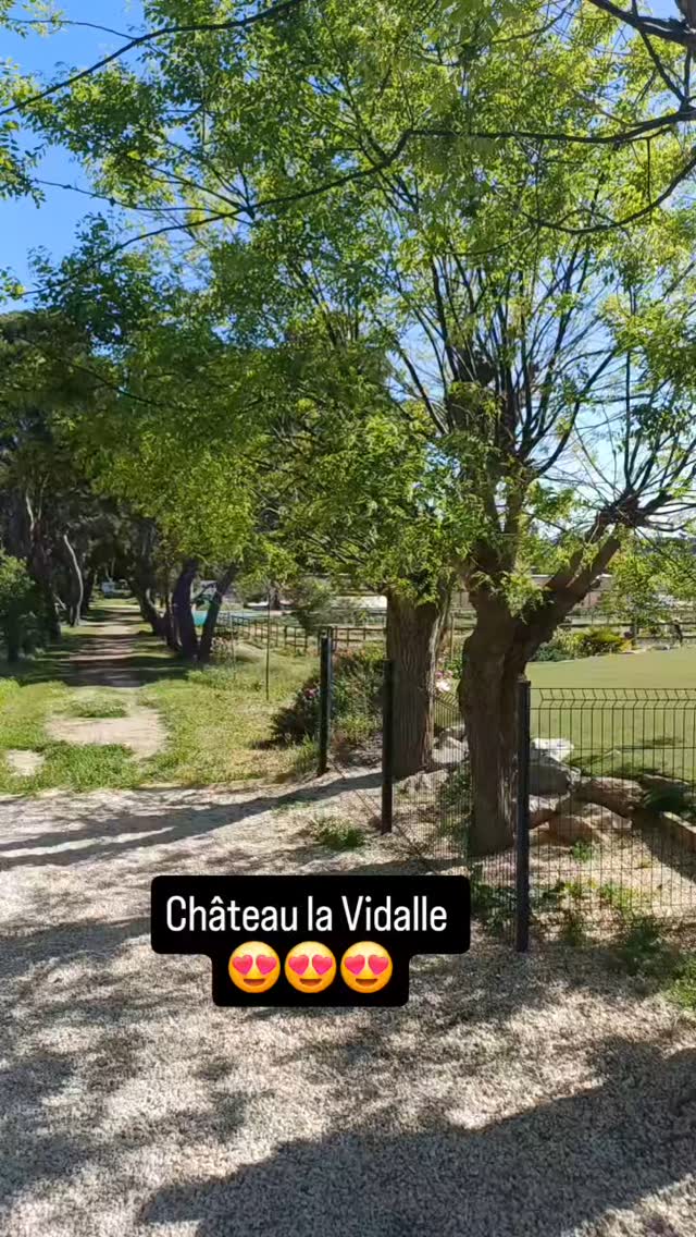 Video by Stephanie Pollet on April 21, 2025.