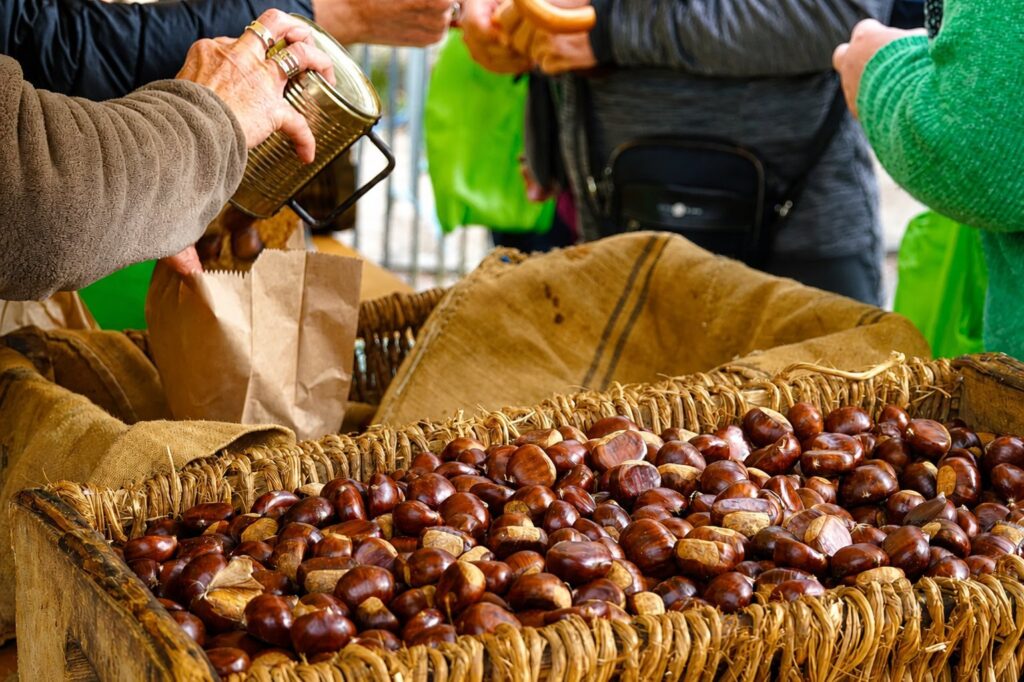 chateaulavidalle.fr:fete de la chataigne en correze