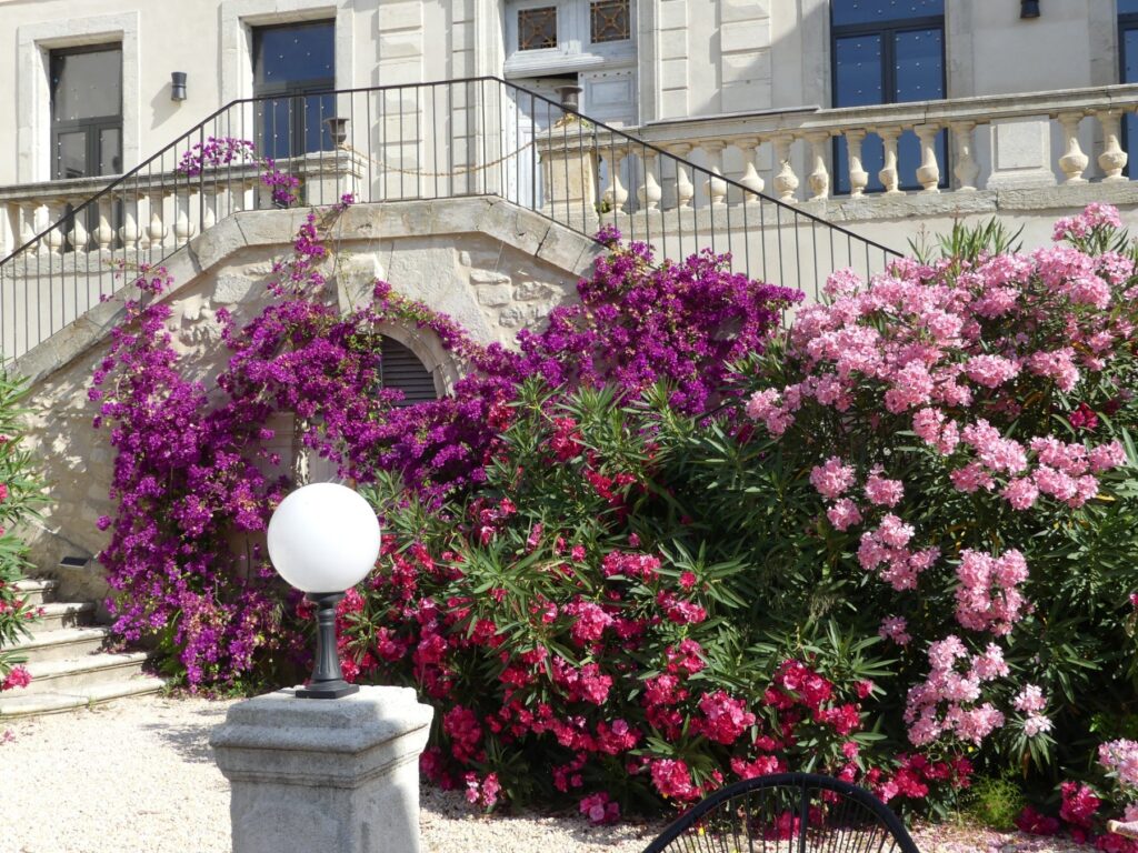 vendres piscine 4 etoiles chateau gite beziers vendres piscine 4 etoiles chateau gite beziers